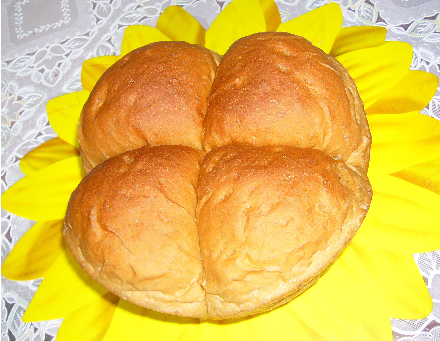 ��Ȼ�����������������