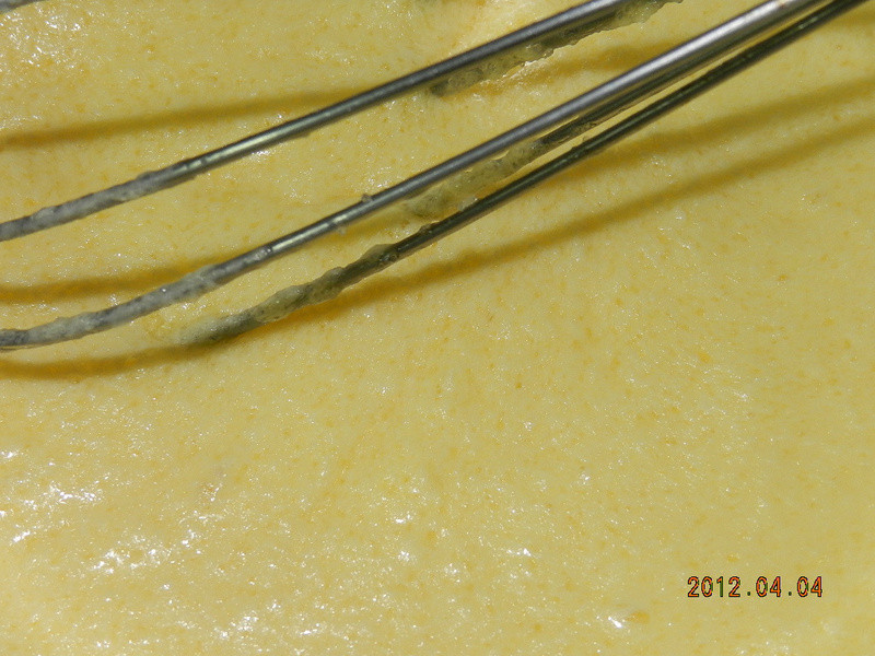 �����������ɵ�����