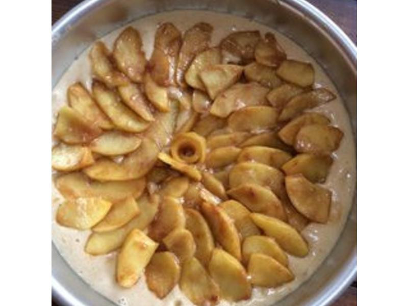 ̫����õ��ƻ�������������