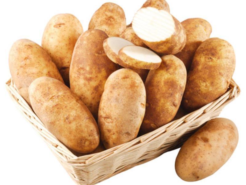 ��ʽ��������ֹ��������