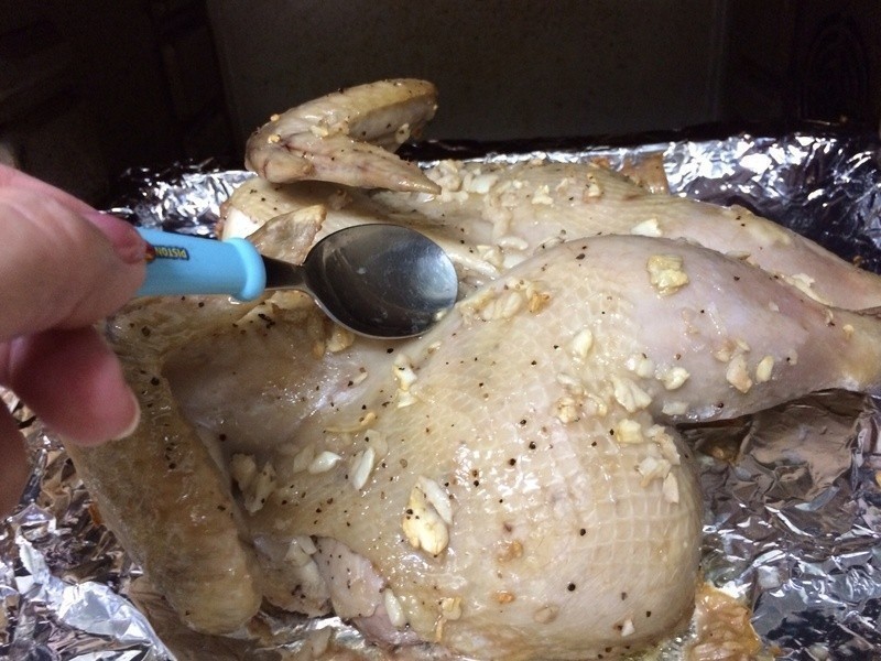 ����ں�������������