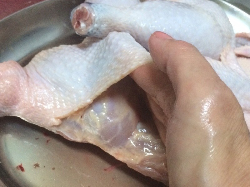 ����ں�������������