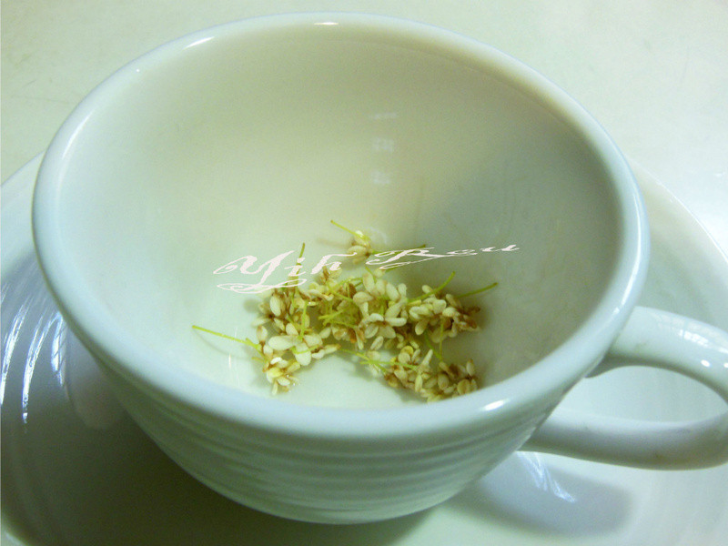 ?������ʳ?̫�������۲������