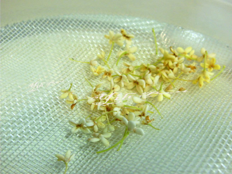 ?������ʳ?̫�������۲������