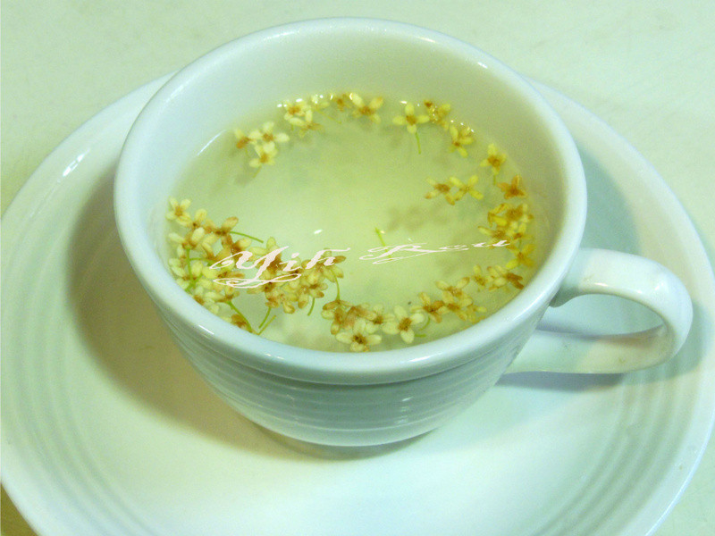 ?������ʳ?̫�������۲������