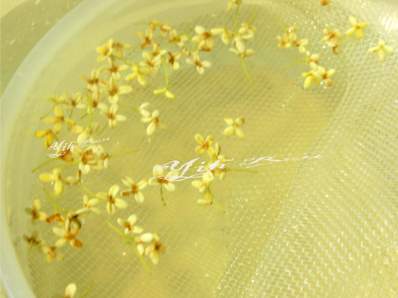 ?������ʳ?̫�������۲������