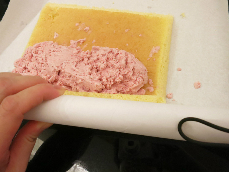 ��ݮ�������ʿ��������