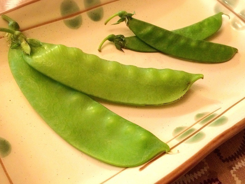 ���⳴������������