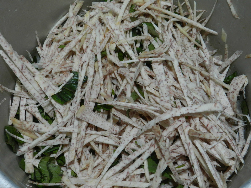 ������˿������