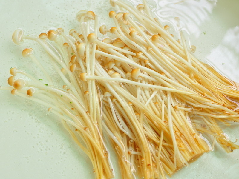 ���յ�ף�������ɳ���ͽ�����������