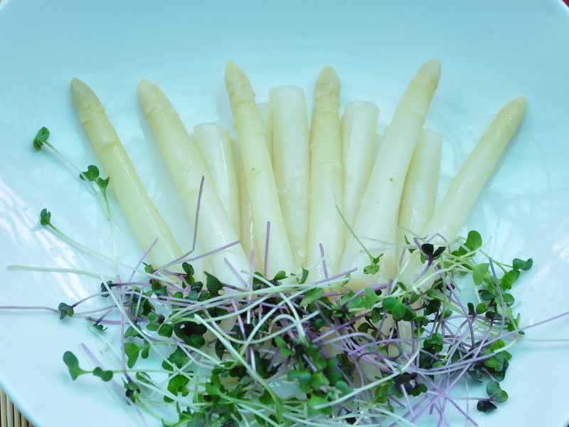 ���յ�ף�������ɳ���ͽ�����������