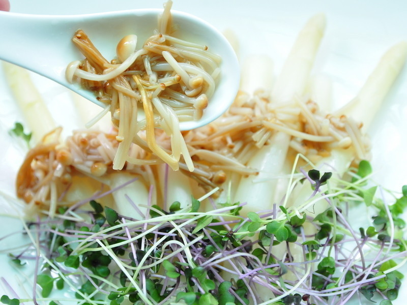 ���յ�ף�������ɳ���ͽ�����������