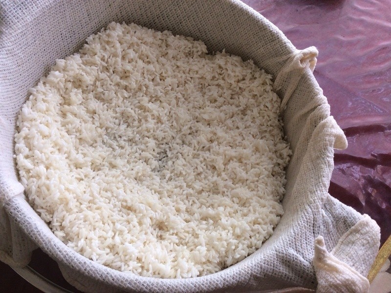 ����ͲŴ�׷�������