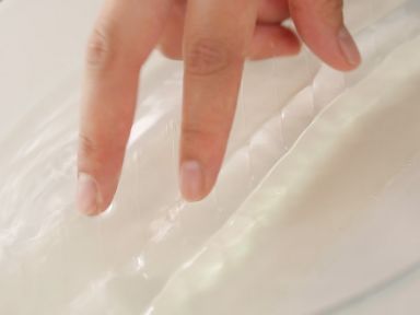 ���������Ľ˹������