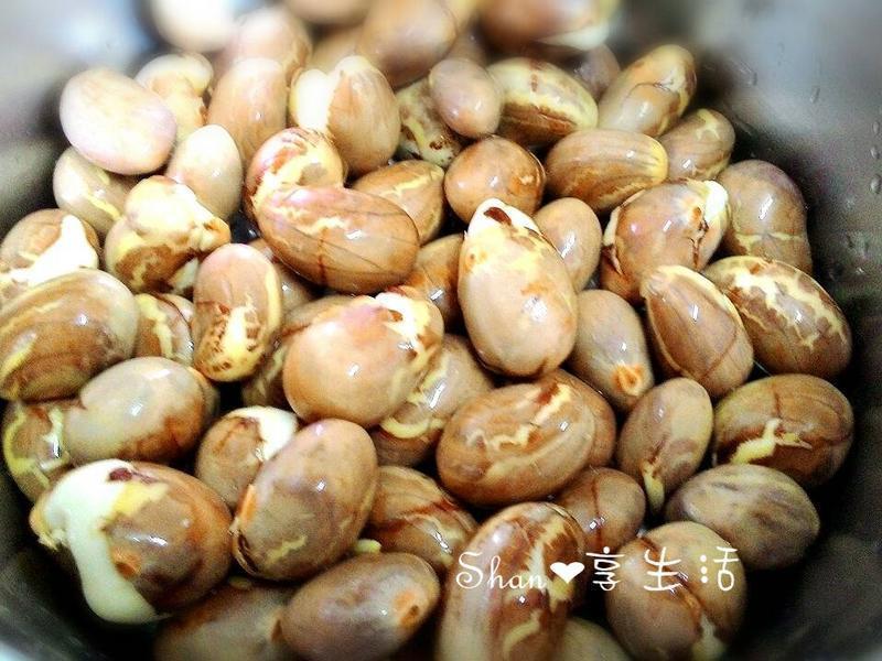 ���������Ź���(���������Ѵ�������)������