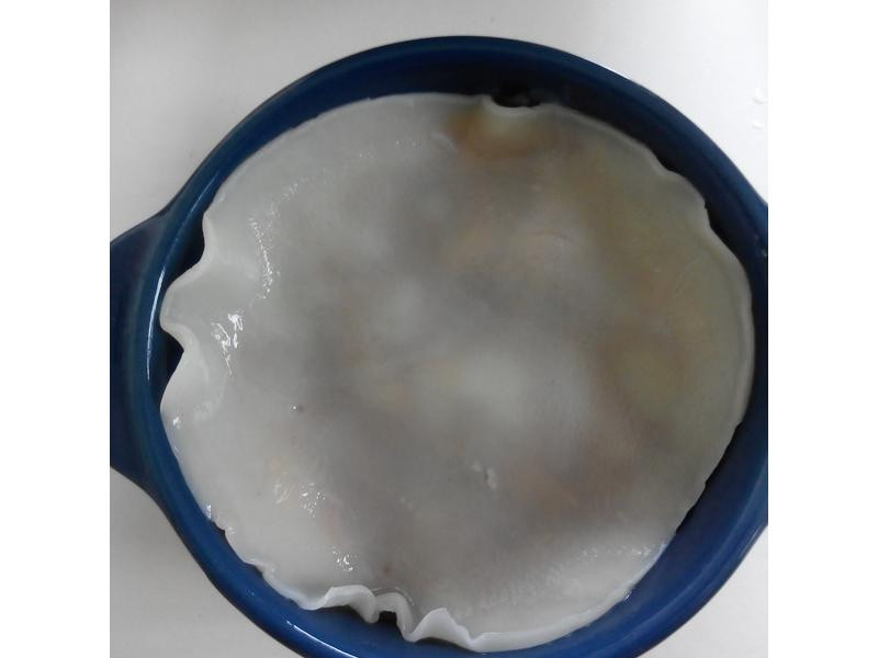 ˫��ǧ�����Ƥ������