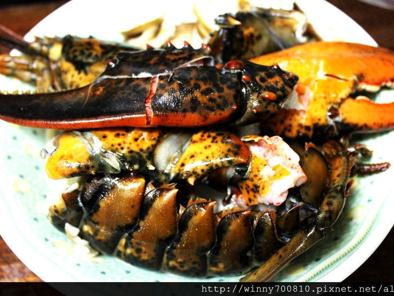 ��ʿ����Ϻ�㹽�Ϲ���������