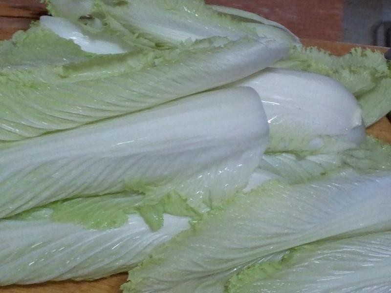 С��ɳ��ײ˵�����