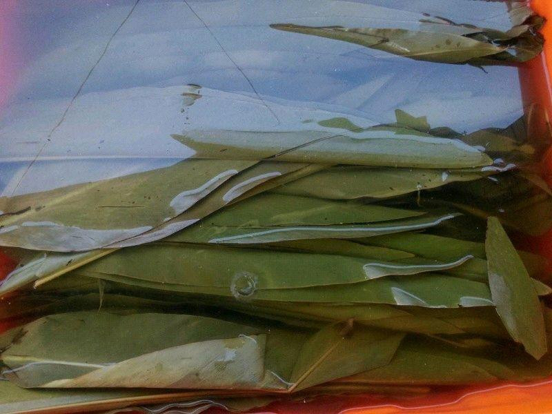 �ϲ�ˮ�����յ�����