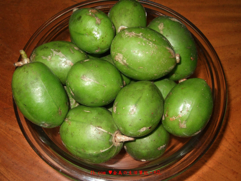 ����̩����魵�����