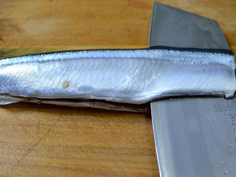 ��֭�ﵶ���ζ��������