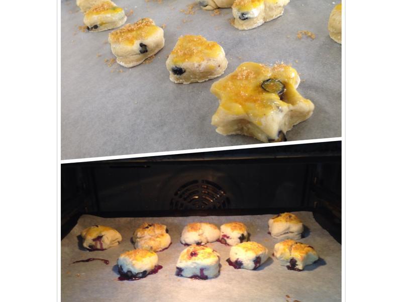 ����Ӣʽ��ݮ˾�� sonces������