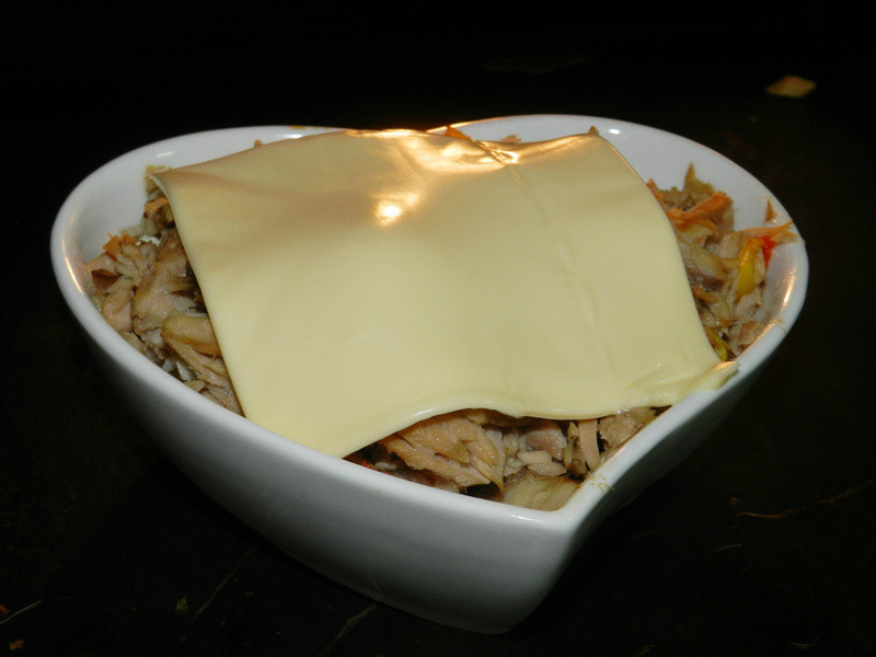 ��˾Ģ�����������