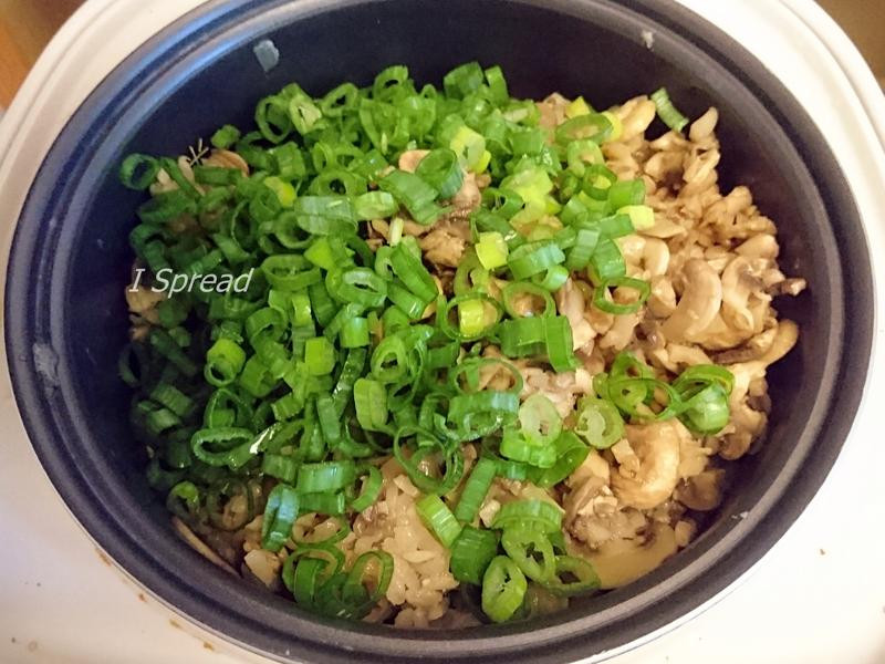 ����Ģ��ʮ�ȴ���������