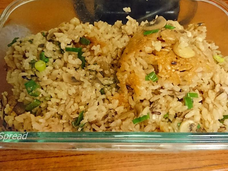 ����Ģ��ʮ�ȴ���������