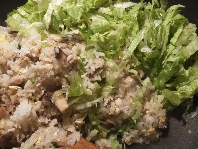 ��˿Ģ��������������