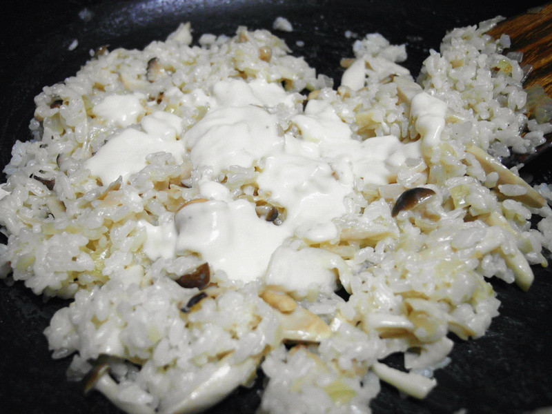 ���Ȱ׽���������������