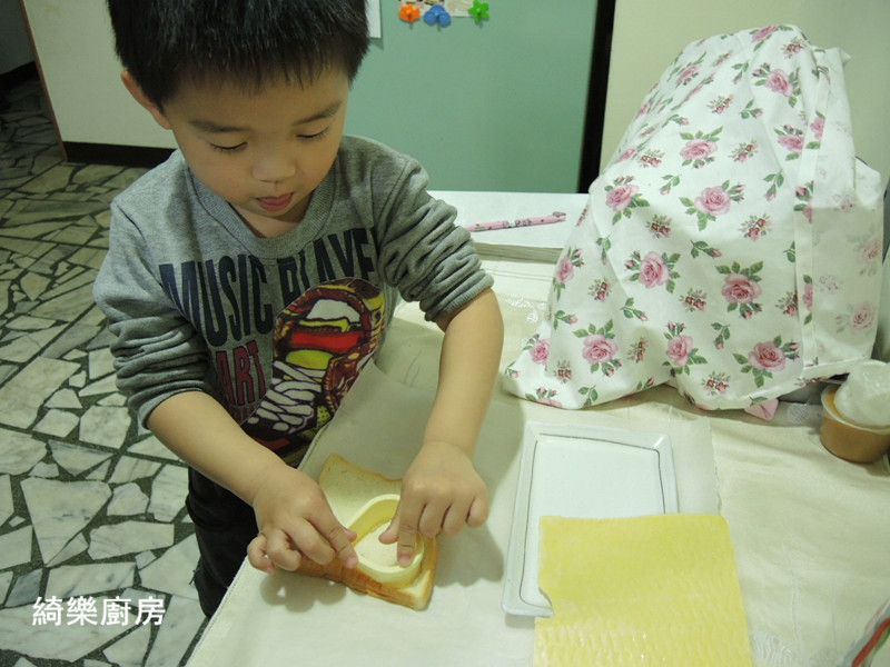 ��ݮ������˾������