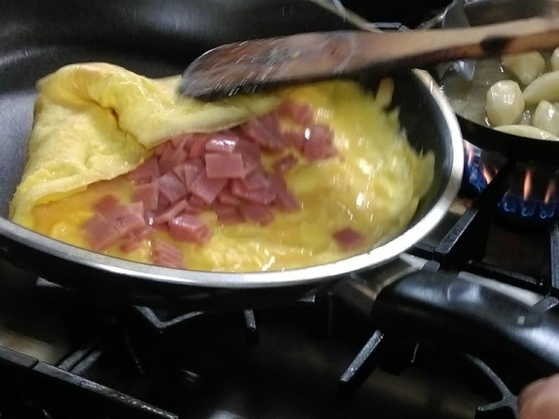 �������Ҷ�����������