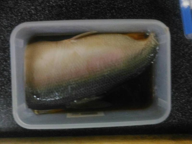 ����ʭĿ�������