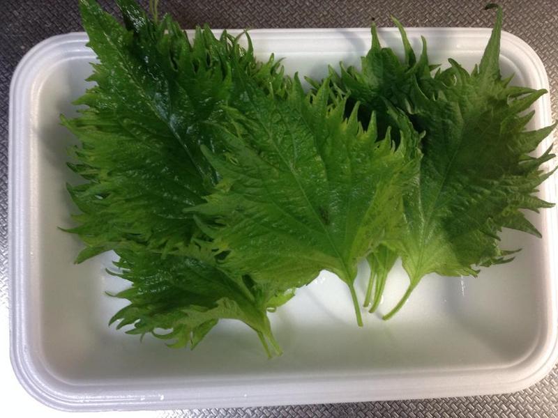 �ͷ絰��������