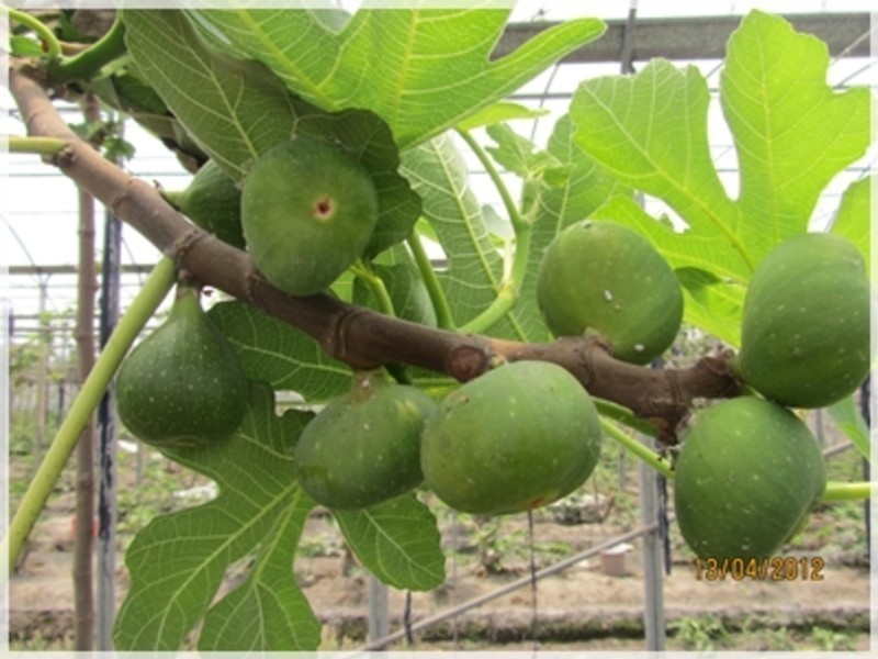 �޻�������������