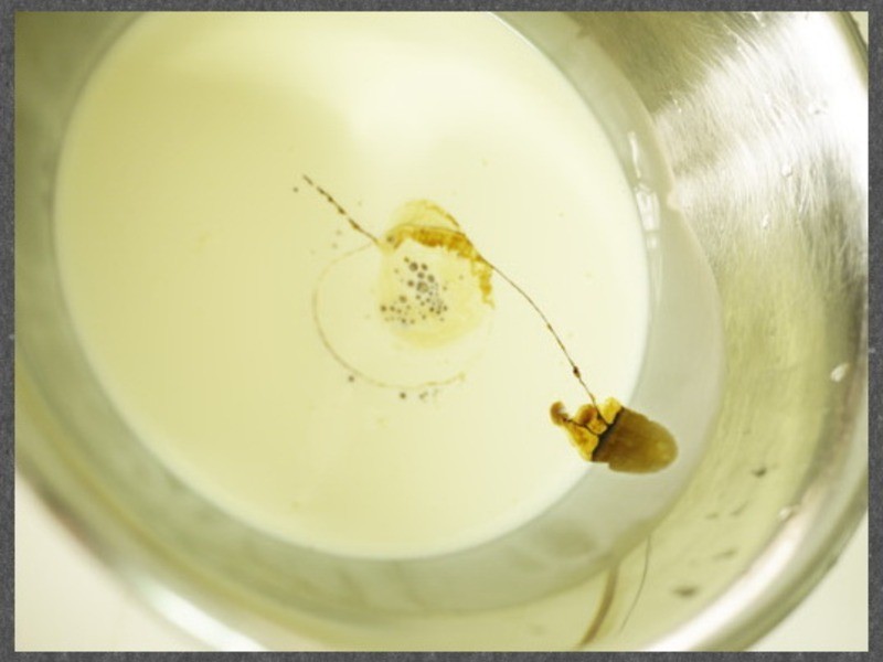 ���ε��⡺�ɿ������Ⱦ��ͷ׵��⡻������