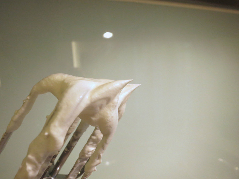 â����ʿ��������