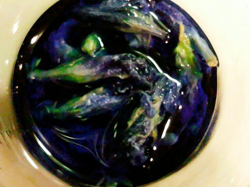 ������Ĩ����������