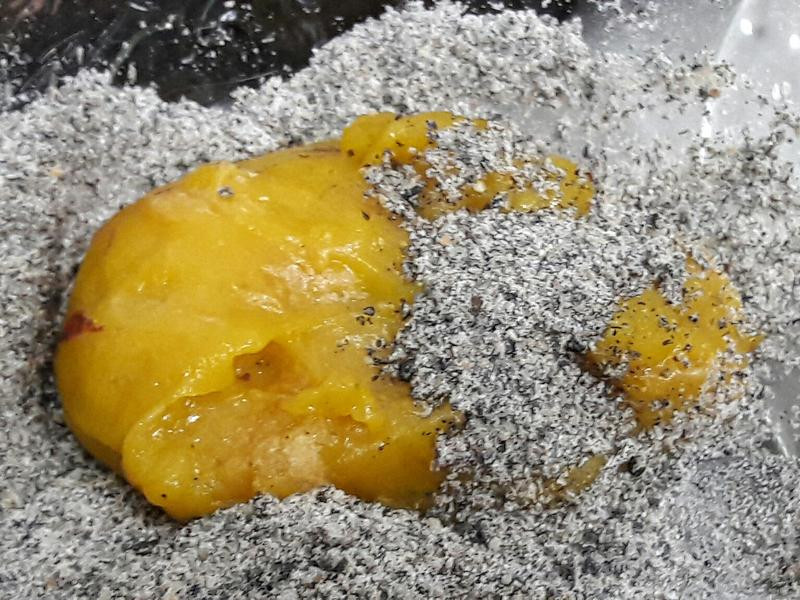 ��ʶ�����֥����^������