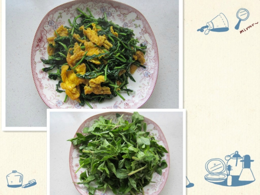 ��轲˳�����������