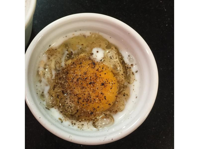 Ԫ����Ϳ����ѵ�����