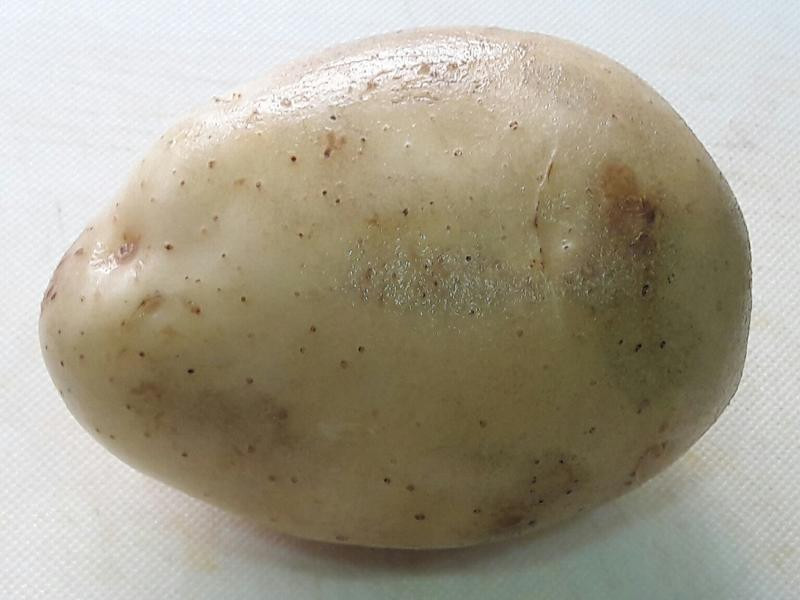 ��ζը����������