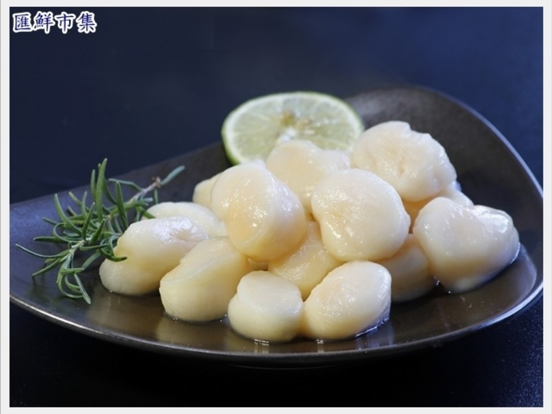 ���ӱ���«�������