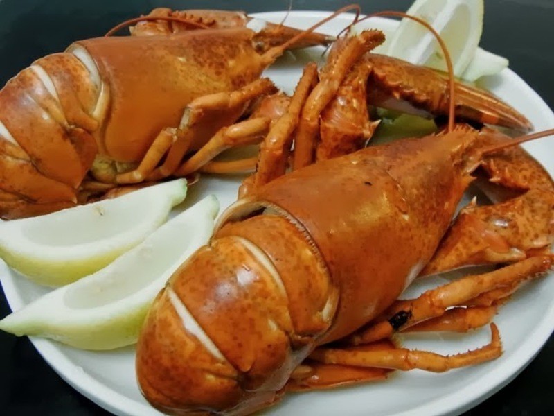 ��ʽˮ�����ʻ���Ϻ������