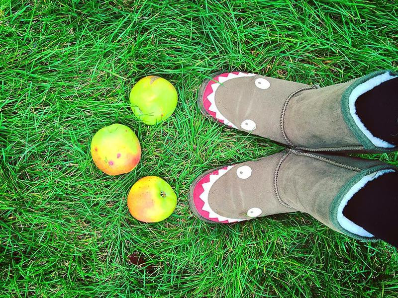 ��ͳ��ʽƻ���ɵ�����