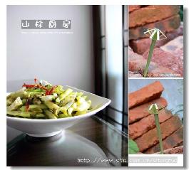 ѩ�˴��������