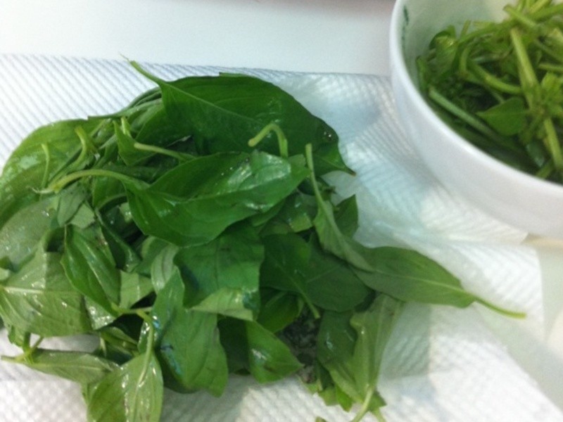 [��ʽ] �ݲ�����֥���ŵ�����