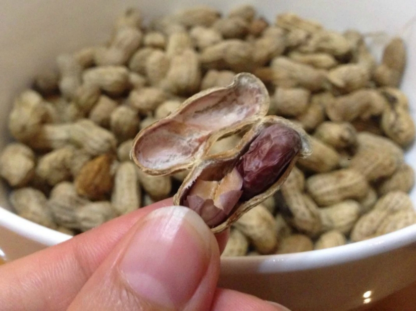 �����̸ɻ���������