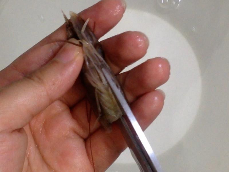 ̩ʽ��Ϻ��˿�ҵ�����